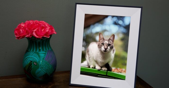 Aura's New Aspen Frame