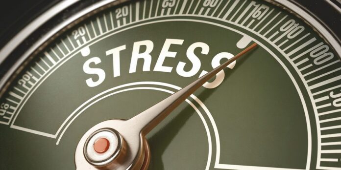CNN Fear and Greed Index Hits 5-Year Low: Global Market Implications