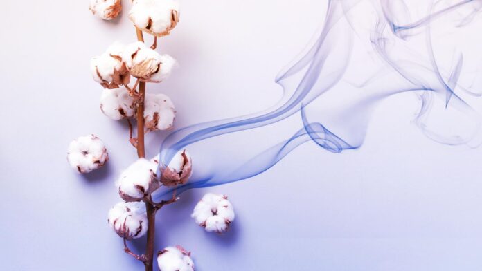 Cotton Fabric for Carbon Sequestration