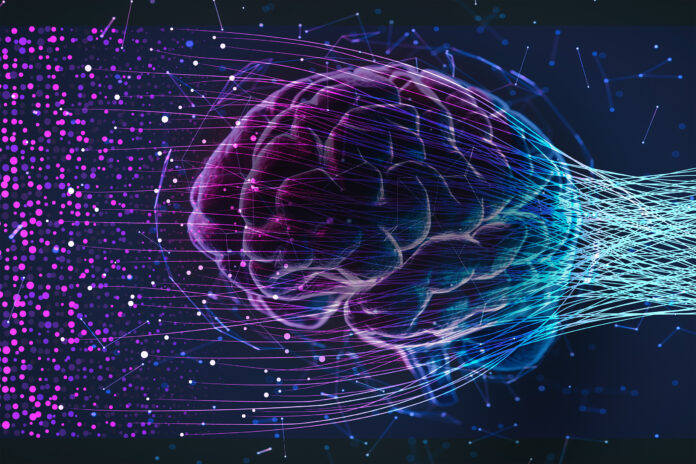 Like Human Brains