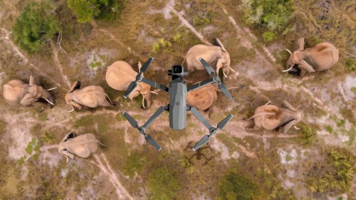 Safeguarding Biodiversity through Technology