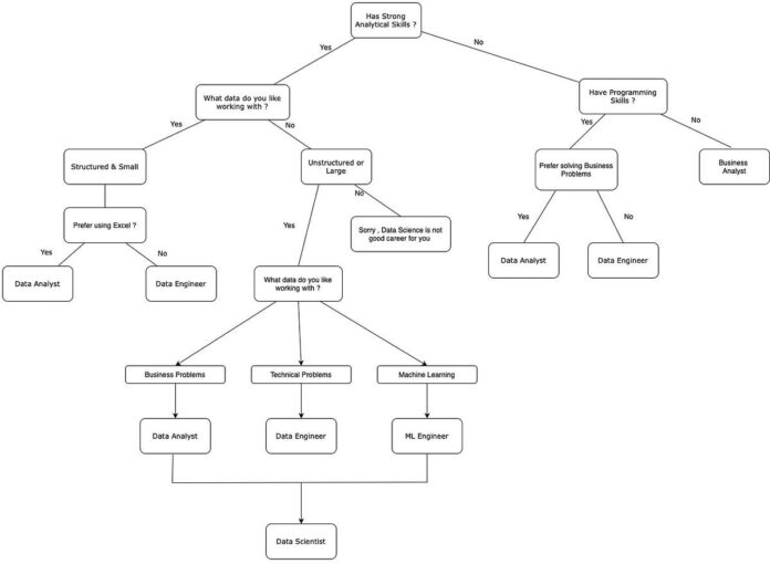 Choosing a Career in Data Science