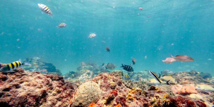 Regaining Control of the Deep Ocean
