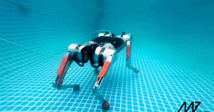 Robodog Takes Underwater Stroll