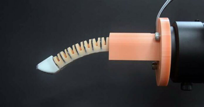 Robotic 'finger' could perform your next intimate physical exam