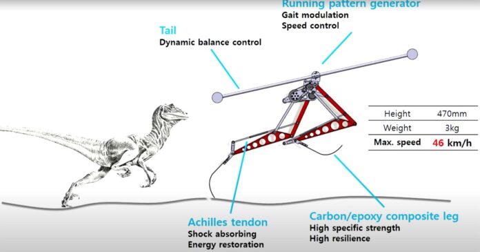 Velociraptor-Inspired Robot Runs at Incredible Speeds