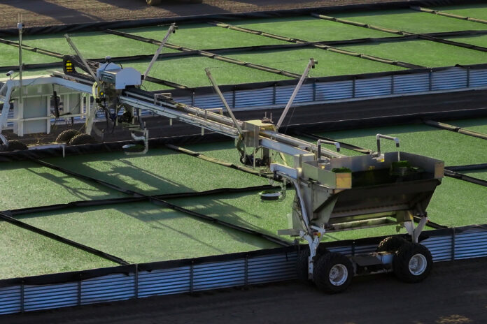 Wastewater-Based Plant Feed and Fertilizer for Farmers