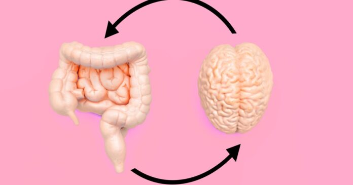 Gut-Brain Connection in Weight Gain and Anxiety