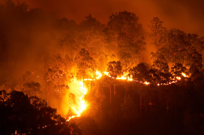 Innovative Gel To Prevent Wildfires