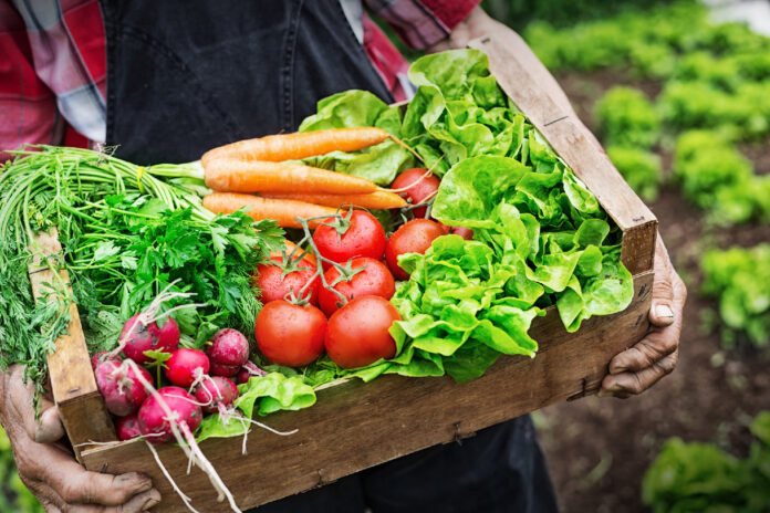 Sensor To Reduce Food Waste