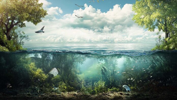 Tackling Pollution Across Air, Land, and Sea